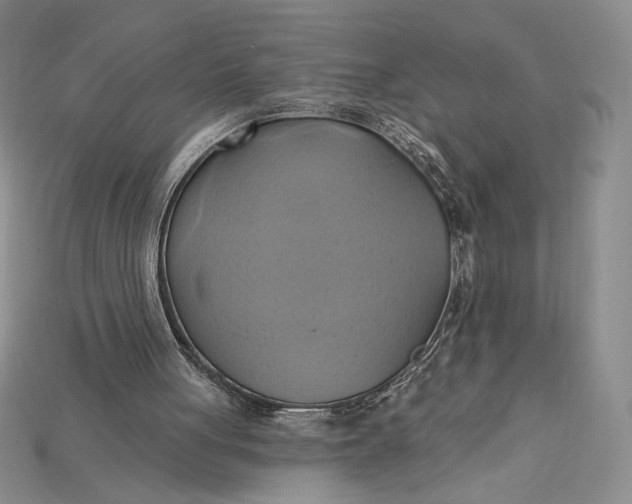 X0000115170051200911121748