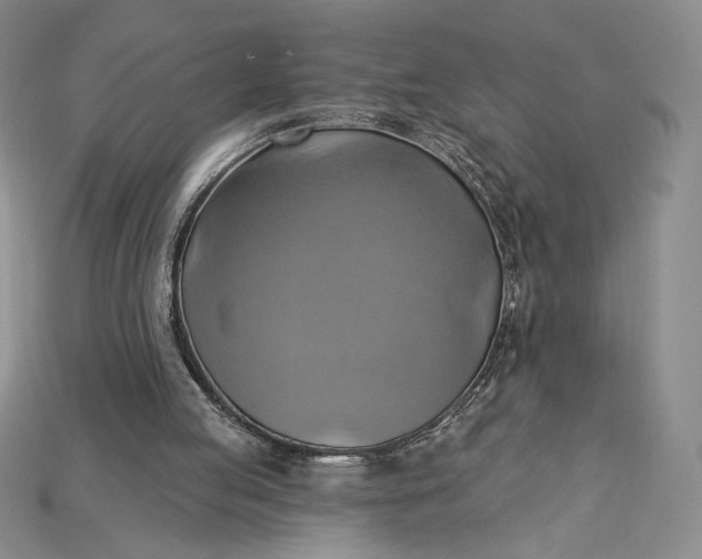 X0000115170053200911121748