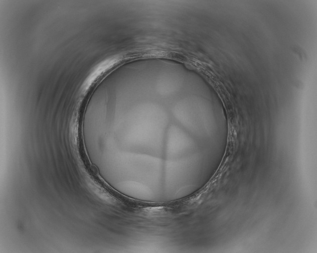 X0000115170054200911121748