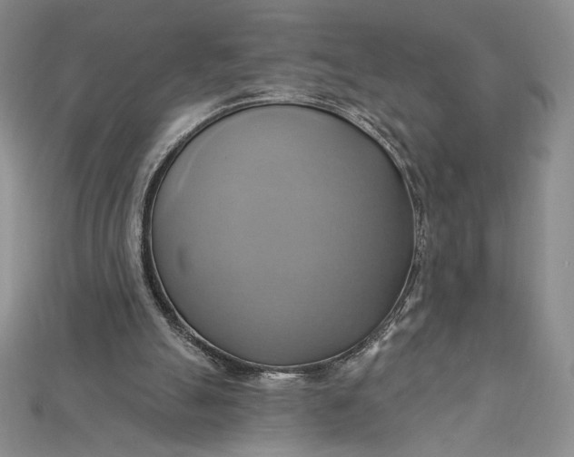 X0000115170055200911121748