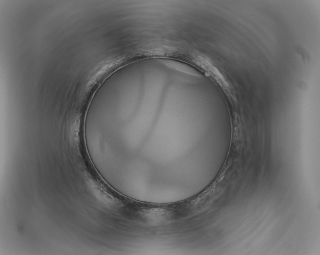 X0000115170058200911121748