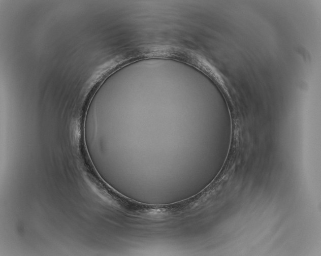 X0000115170059200911121748