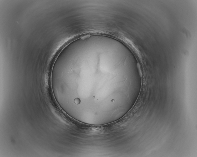 X0000115170060200911121748
