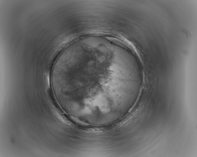 X0000115170061200911121748