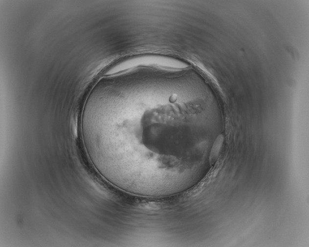 X0000115170062200911121748