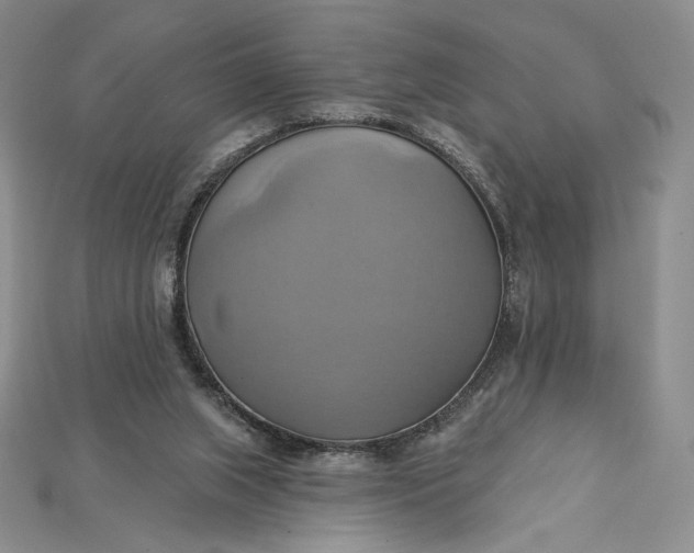 X0000115170063200911121748