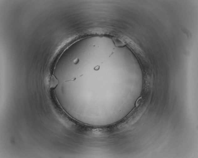 X0000115170064200911121748