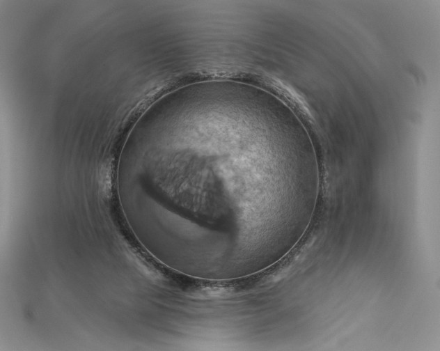 X0000115170065200911121748