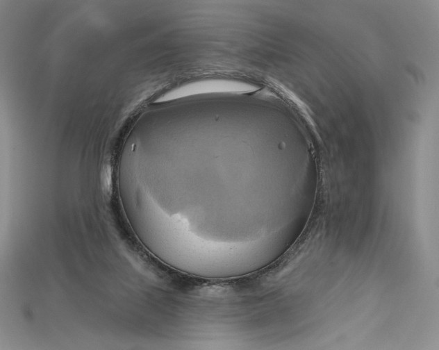 X0000115170067200911121748