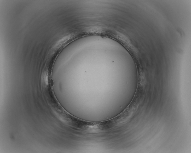 X0000115170068200911121748