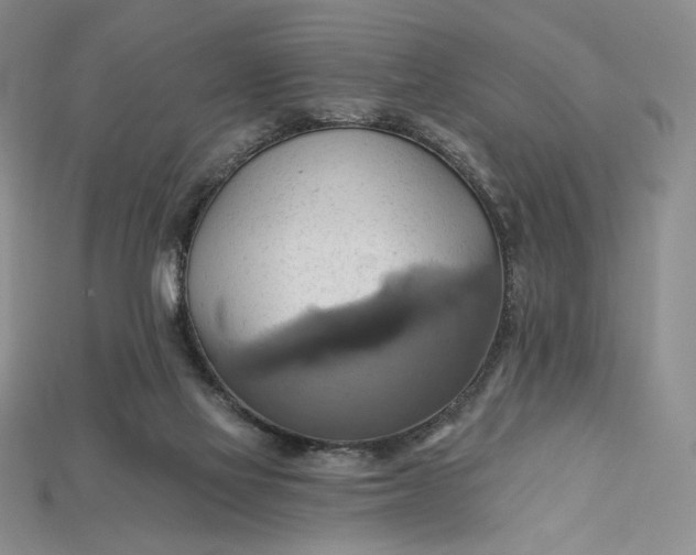 X0000115170069200911121748
