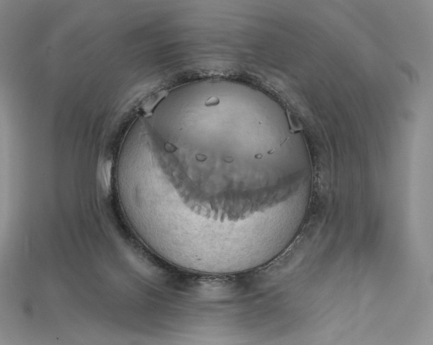 X0000115170070200911121748