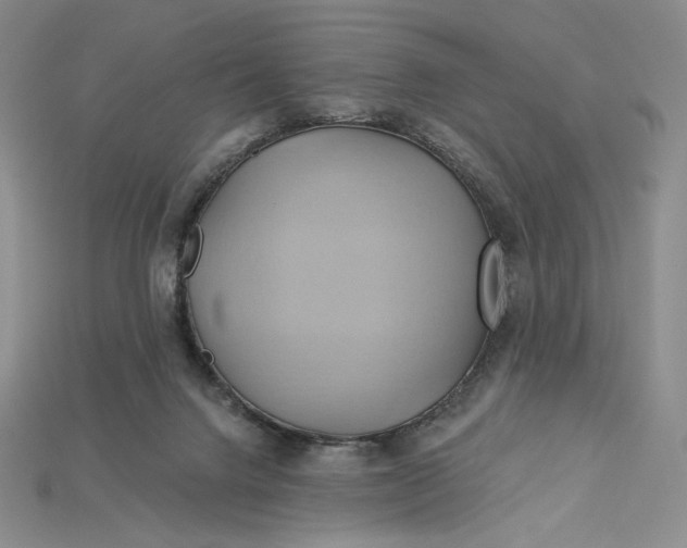 X0000115170072200911121748