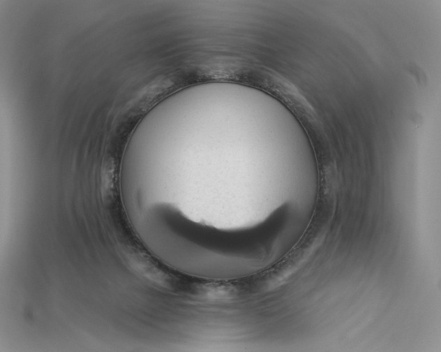 X0000115170073200911121748