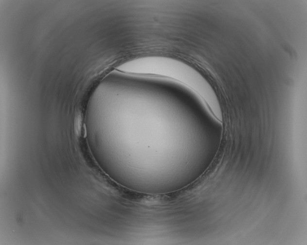 X0000115170076200911121748