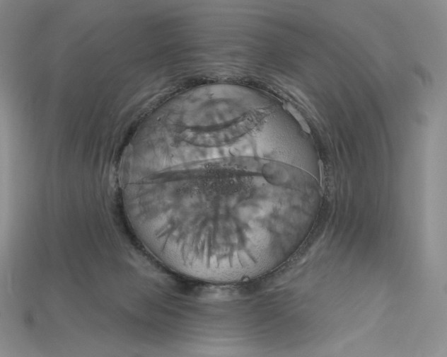 X0000115170077200911121748