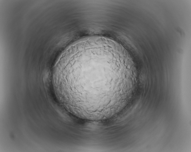X0000115170079200911121748