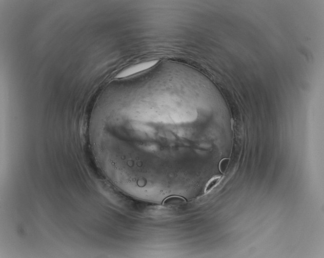 X0000115170082200911121748