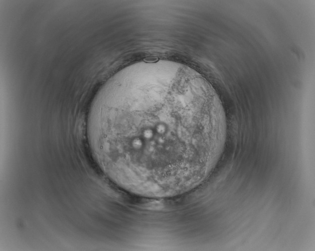 X0000115170083200911121748