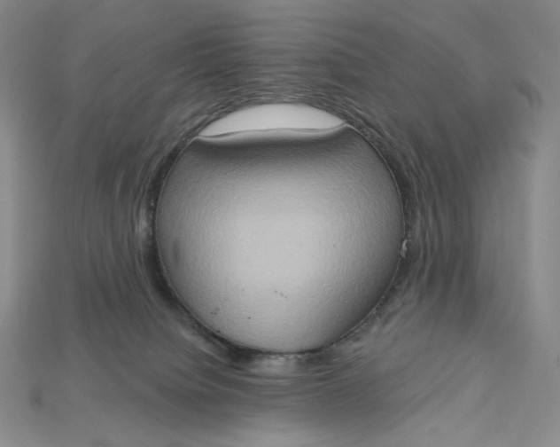 X0000115170084200911121748