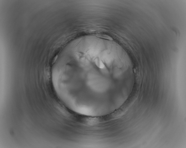 X0000115170085200911121748