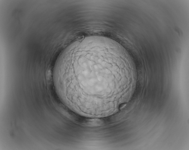 X0000115170087200911121748