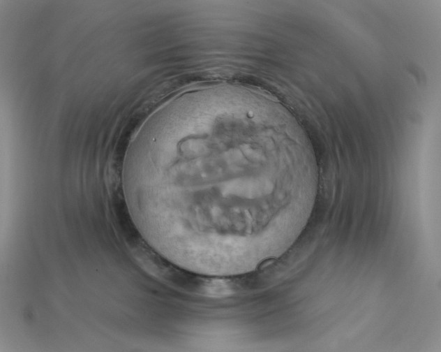 X0000115170091200911121748