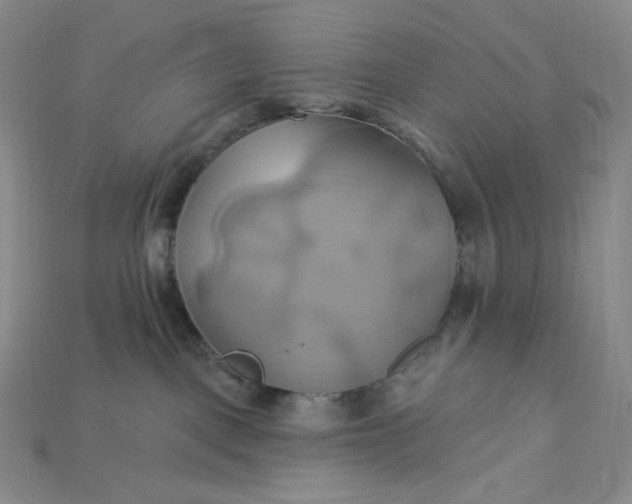 X0000115170093200911121749