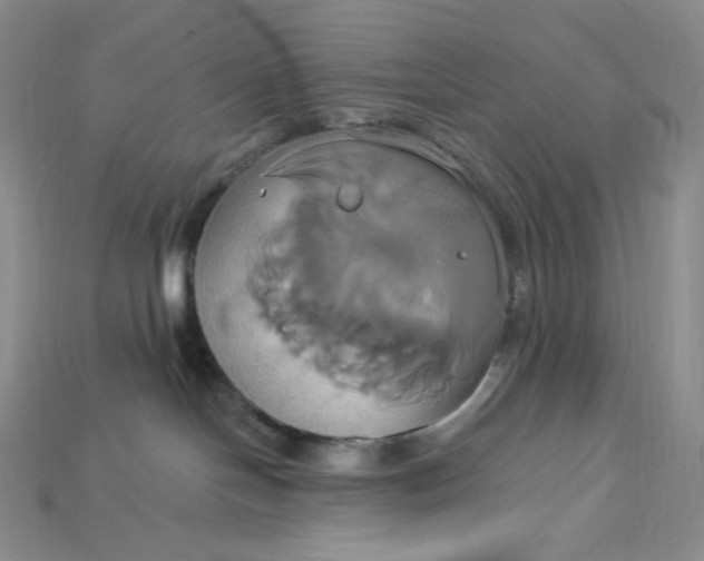 X0000115170094200911121749
