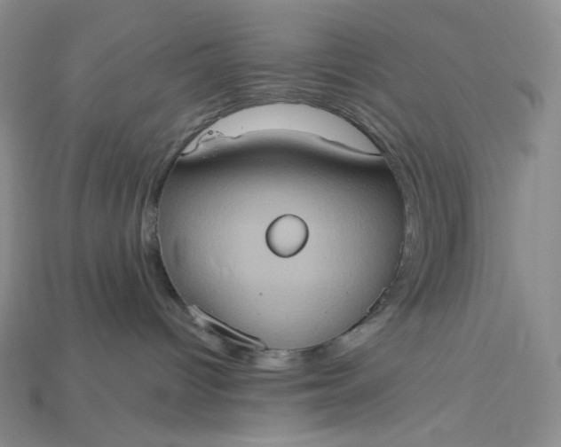X0000115170096200911121749