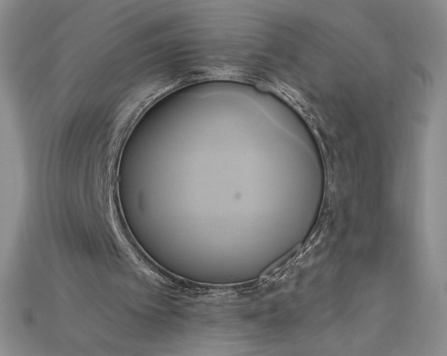 X0000115170097200911121748
