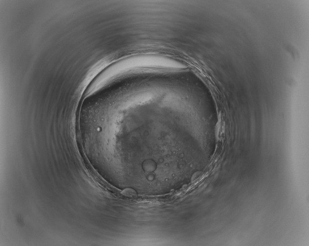 X0000115170099200911121748