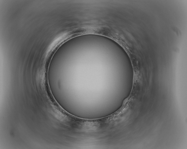 X0000115170101200911121748