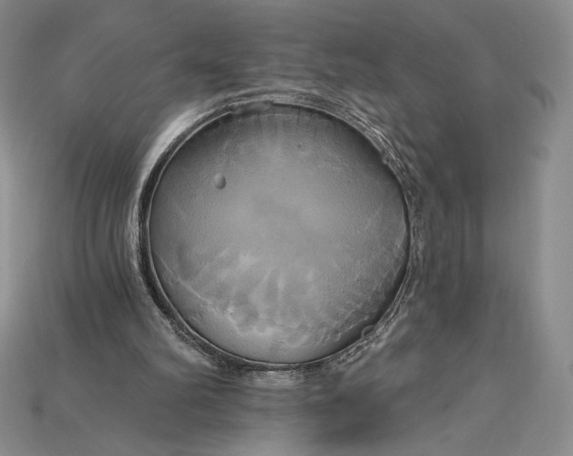X0000115170102200911121748