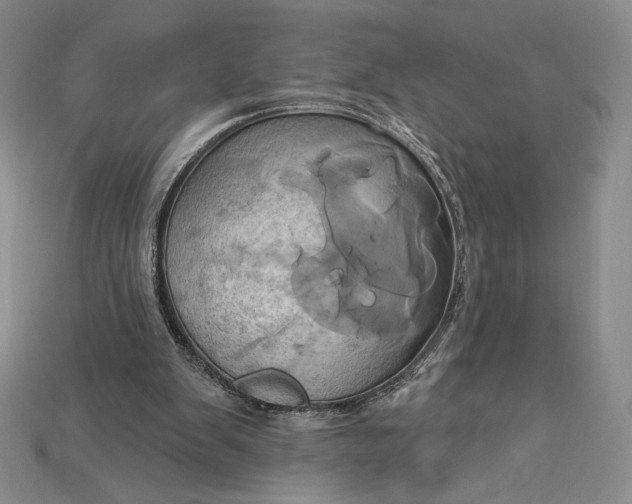X0000115170103200911121748