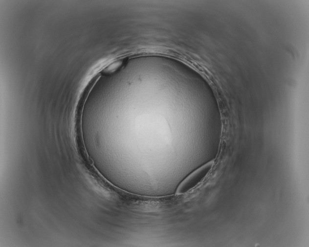 X0000115170104200911121748