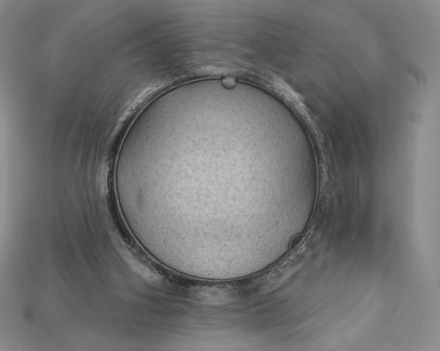 X0000115170106200911121748