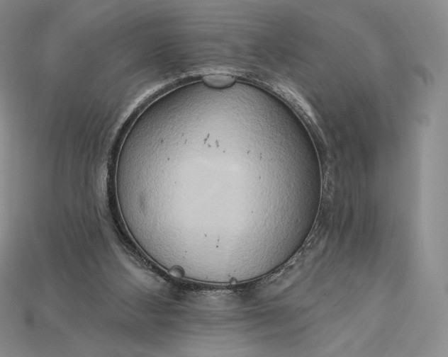 X0000115170108200911121748