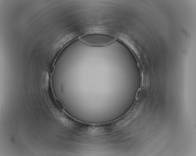 X0000115170109200911121748