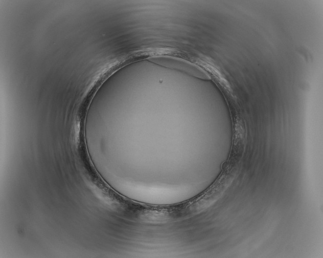 X0000115170110200911121748
