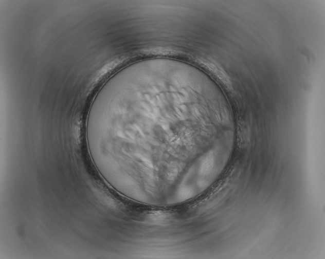 X0000115170111200911121748