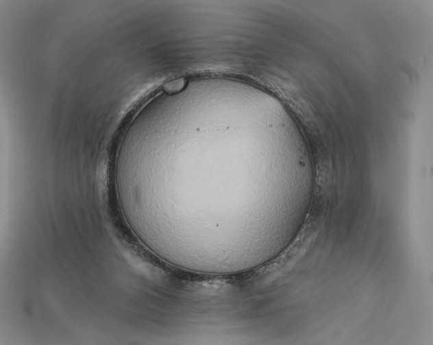 X0000115170112200911121748