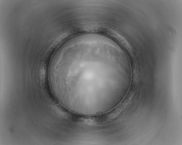 X0000115170113200911121748