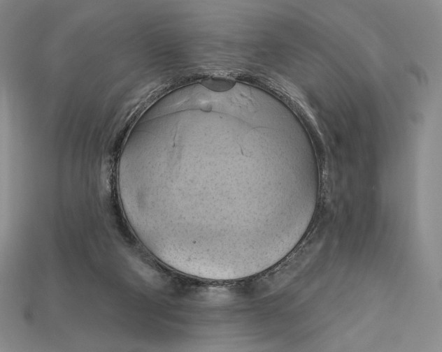 X0000115170114200911121748