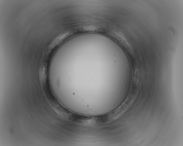 X0000115170116200911121748