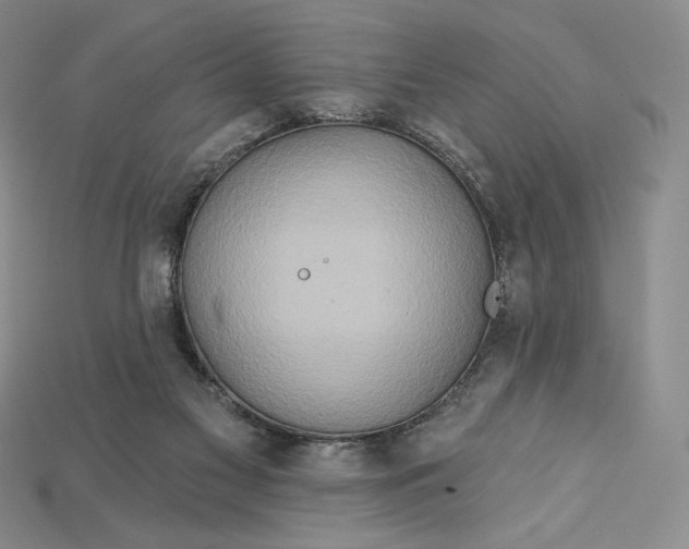 X0000115170117200911121748