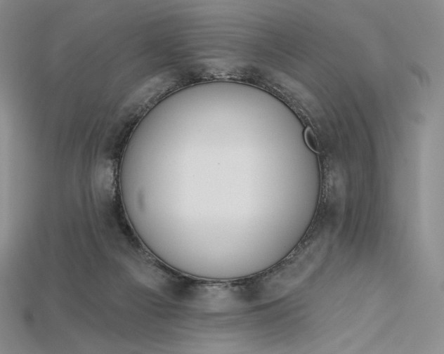 X0000115170121200911121747