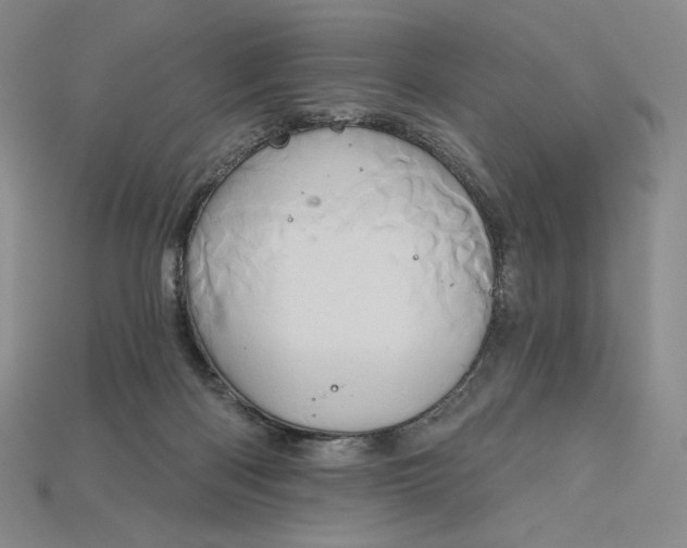 X0000115170122200911121747