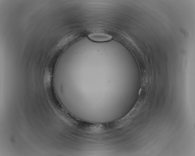 X0000115170124200911121747