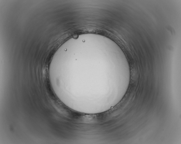 X0000115170126200911121747
